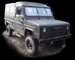 Tarpan Honker