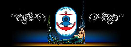ZGP Delfiny